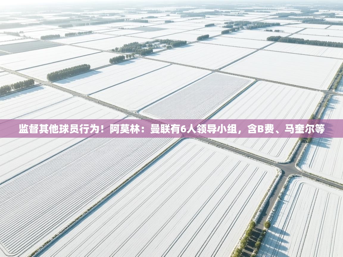鲸蓝体育官网-监督其他球员行为!阿莫林:曼联有6人领导小组,含B费、马奎尔等 第2张