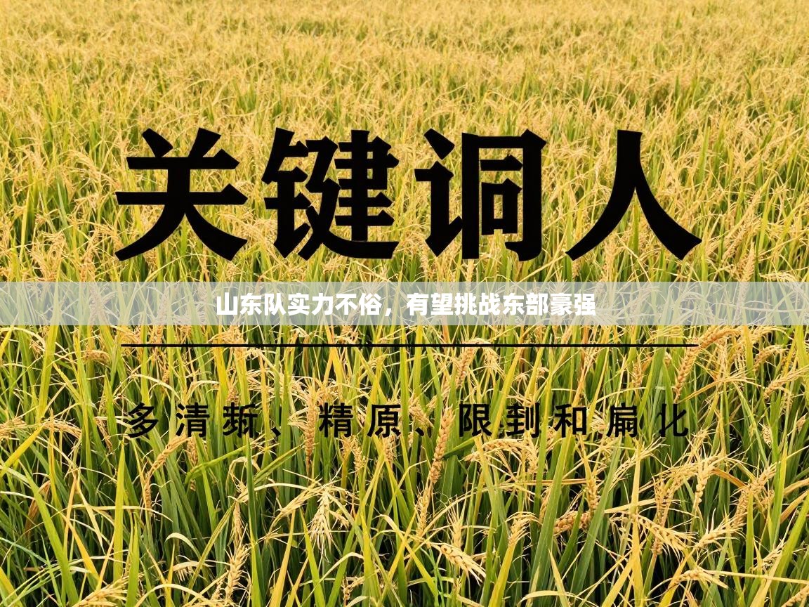 鲸鱼体育app-山东队实力不俗，有望挑战东部豪强  第3张