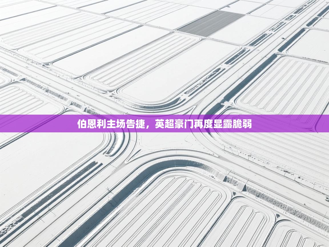 鲸蓝体育平台-伯恩利主场告捷，英超豪门再度显露脆弱  第3张