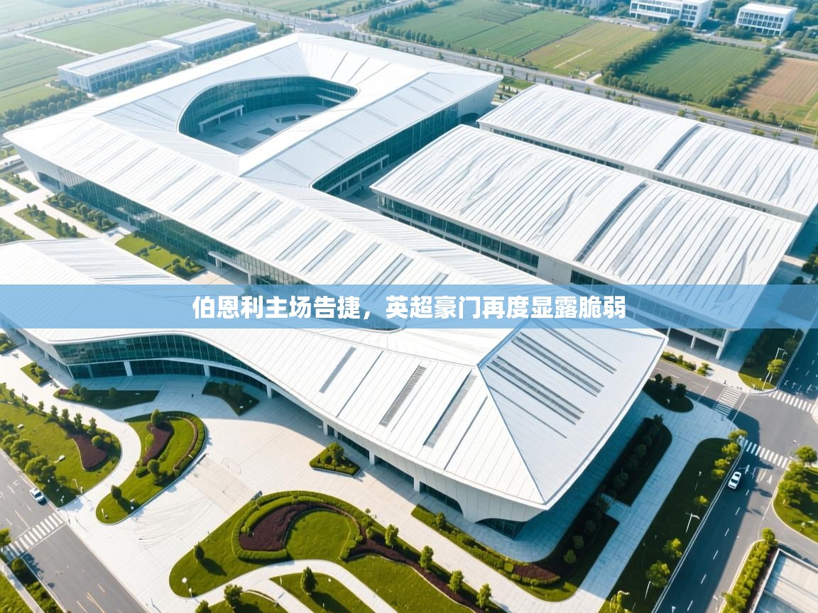 鲸蓝体育平台-伯恩利主场告捷，英超豪门再度显露脆弱  第4张